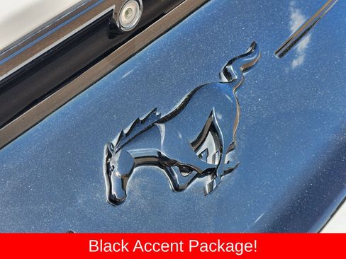 Used 2019 Ford Mustang Coupe w/ Black Accent Package RWD image 18