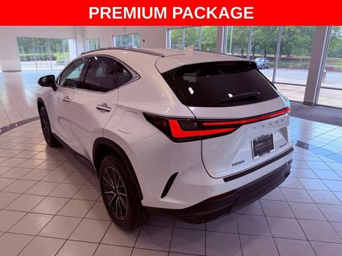 Used 2024 Lexus NX 250 FWD image 5
