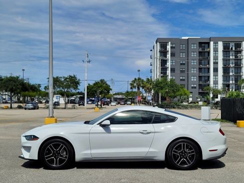 Used 2019 Ford Mustang Coupe w/ Equipment Group 101A RWD image 9
