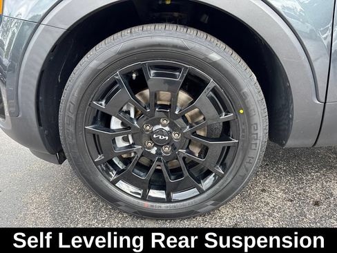 Used 2022 Kia Telluride SX w/ SX Prestige Package AWD/4WD image 10