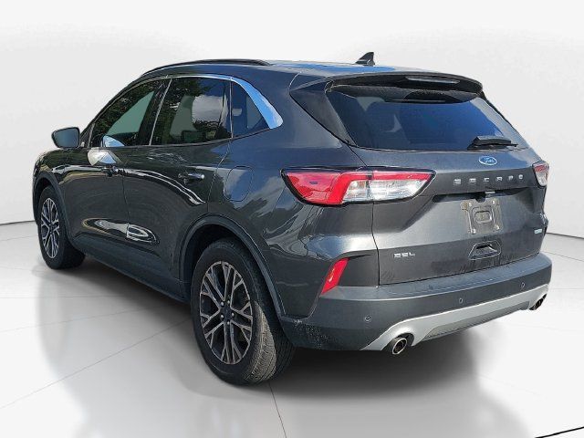 Used 2020 Ford Escape SEL FWD image 5