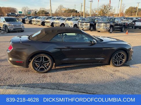 Used 2023 Ford Mustang Premium w/ Equipment Group 201A image 6