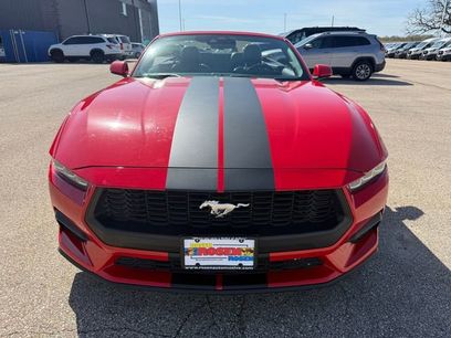 Used 2019 Ford Mustang Premium w/ Equipment Group 201A