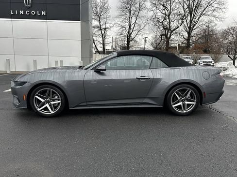 Certified 2025 Ford Mustang EcoBoost image 8