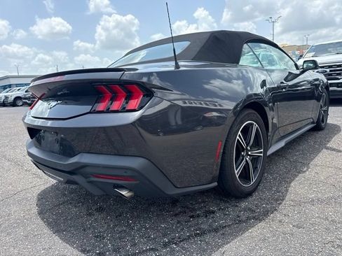 Used 2024 Ford Mustang Premium RWD image 5