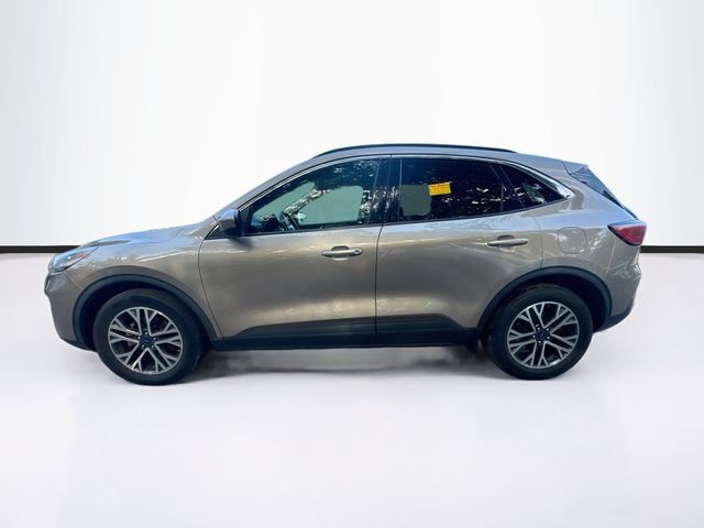 Used 2020 Ford Escape SEL AWD/4WD image 5