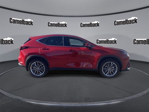 Used 2025 Lexus NX 300h AWD w/ Luxury Package image 8