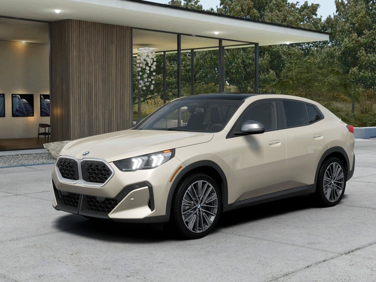 Used BMW X2 for Sale in Phoenix, AZ - Autotrader