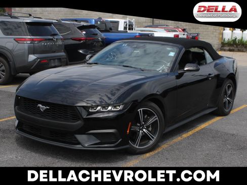 Used 2025 Ford Mustang Premium RWD image 1