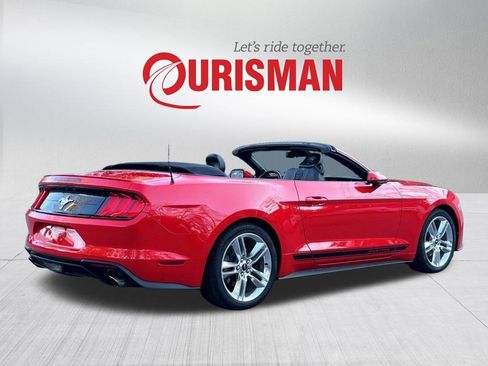 Used 2020 Ford Mustang Premium w/ Equipment Group 201A image 5