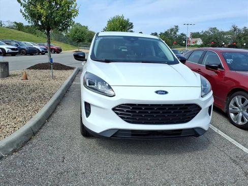 Used 2022 Ford Escape SE w/ SE Sport Appearance Package AWD/4WD image 4