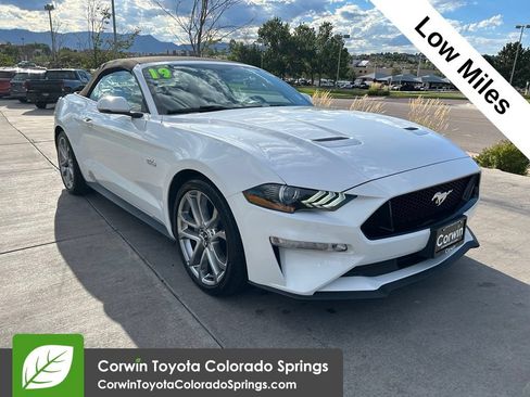 Used 2019 Ford Mustang GT Premium w/ Equipment Group 401A RWD image 1