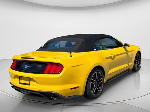 Used 2018 Ford Mustang Premium w/ Equipment Group 201A RWD image 11