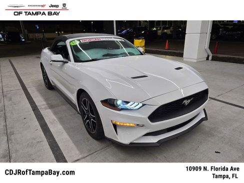 Used 2018 Ford Mustang Premium w/ Equipment Group 201A image 1