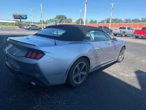 Certified 2025 Ford Mustang Premium RWD image 3