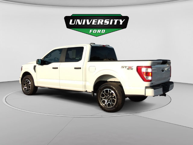 Used 2023 Ford F150 XL w/ XL STX Apperance Package AWD/4WD image 5