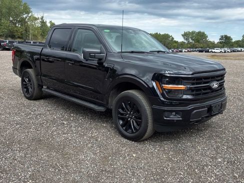 Used 2024 Ford F150 XLT w/ Equipment Group 303A High AWD/4WD image 1