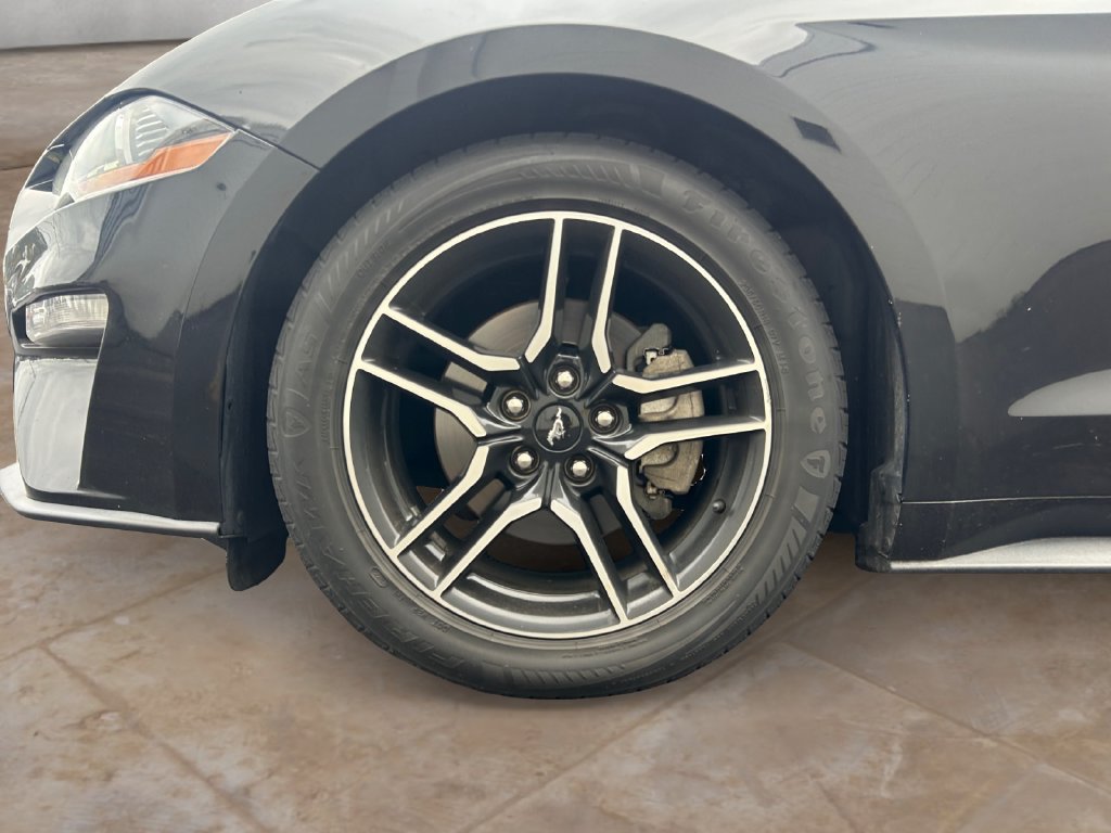 Used 2019 Ford Mustang Premium RWD image 14