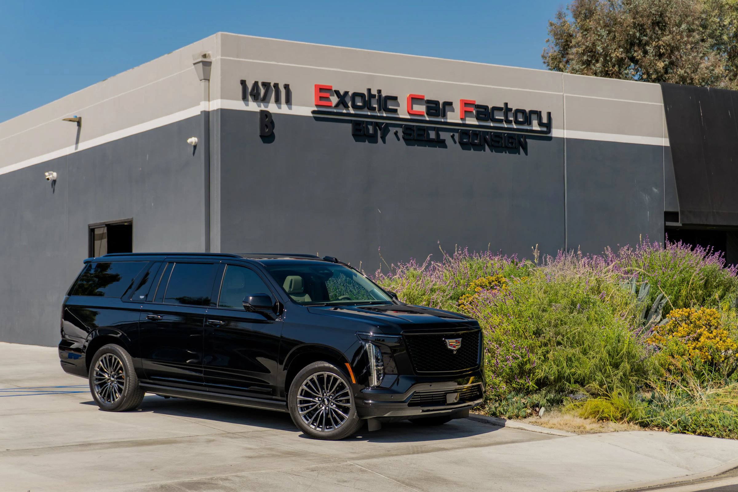 Used 2025 Cadillac Escalade ESV Sport Platinum AWD/4WD image 1