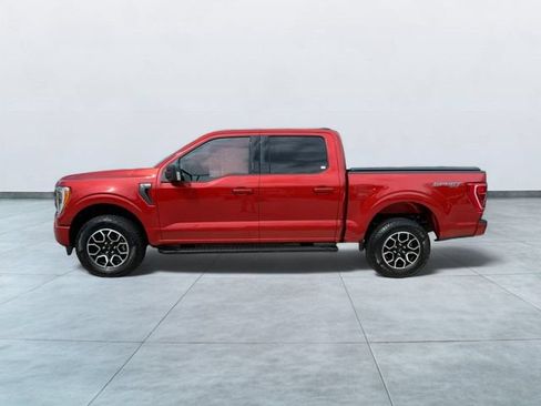 Certified 2023 Ford F150 XLT w/ Equipment Group 302A High AWD/4WD image 4