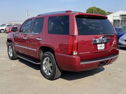 Used 2007 Cadillac Escalade AWD w/ Information Package image 3