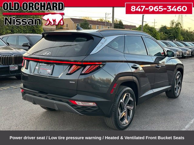 Used 2023 Hyundai Tucson Limited AWD/4WD image 6