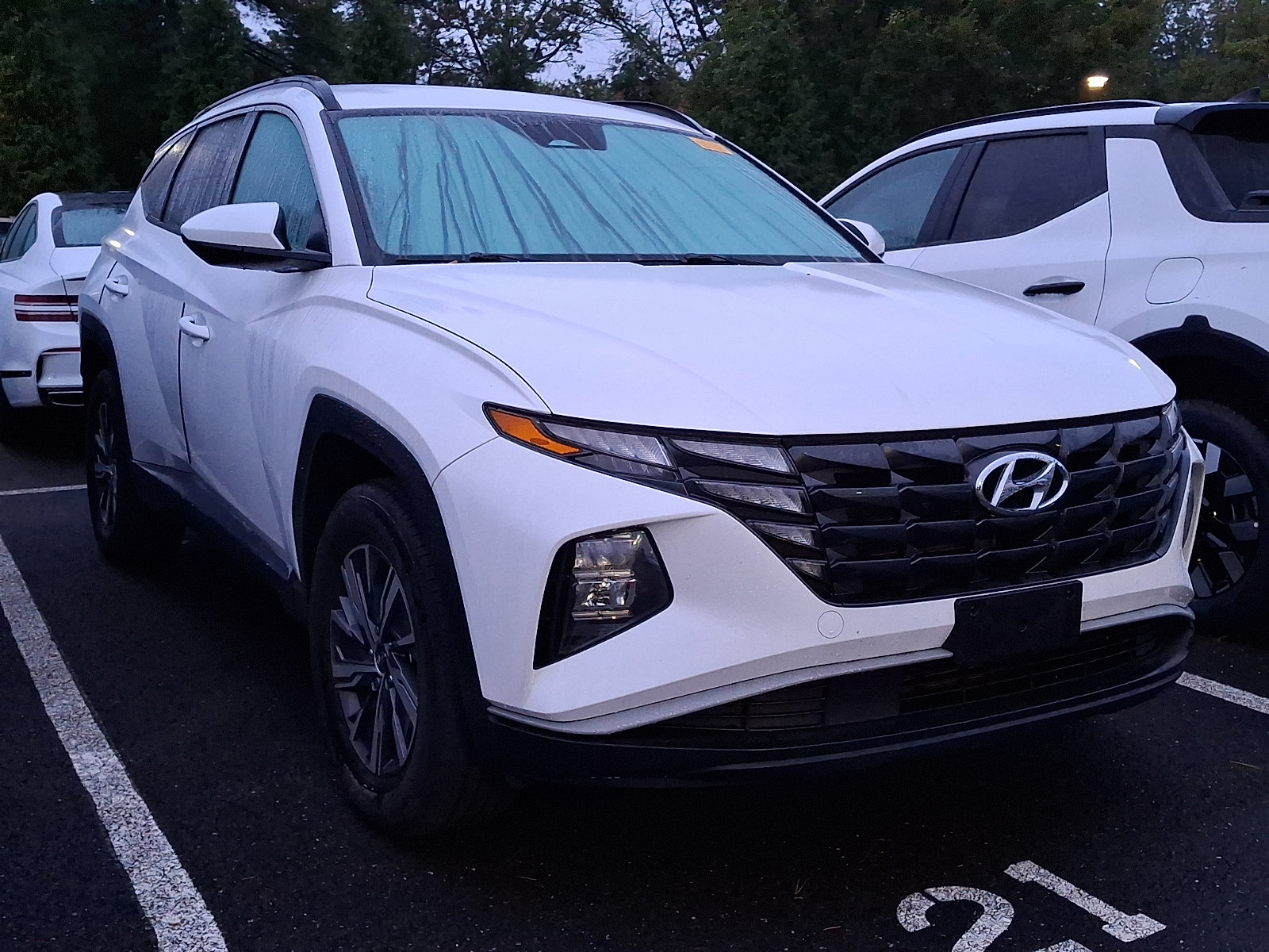 Used 2024 Hyundai Tucson Blue AWD/4WD image 5