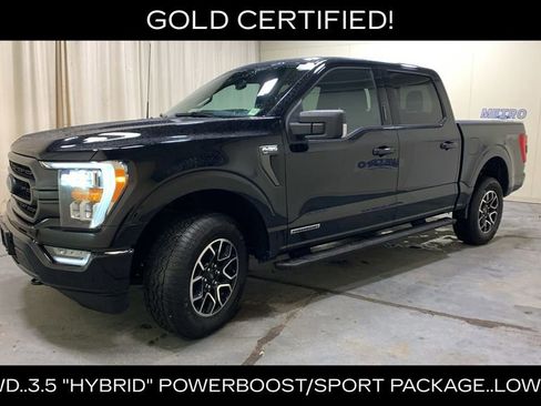 Certified 2023 Ford F150 XLT w/ Equipment Group 302A High image 45