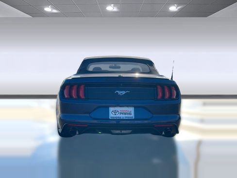 Used 2019 Ford Mustang EcoBoost w/ Equipment Group 101A image 10