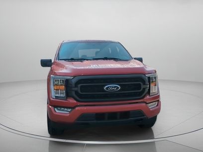 Certified 2023 Ford F150 XLT w/ Equipment Group 302A High