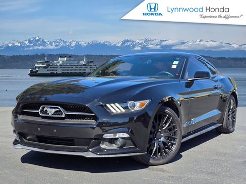 Used 2015 Ford Mustang Premium w/ 50 Years Appearance Package RWD image 1