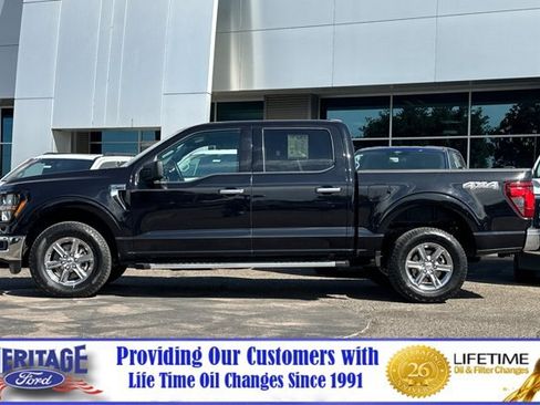 Used 2025 Ford F150 XLT w/ Equipment Group 301A Standard AWD/4WD image 7