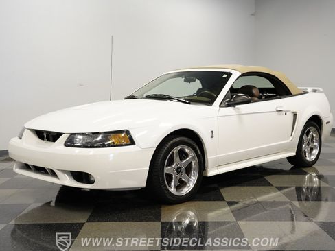 Used 2001 Ford Mustang Cobra RWD image 6