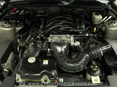 Used 2005 Ford Mustang Cobra RWD image 3