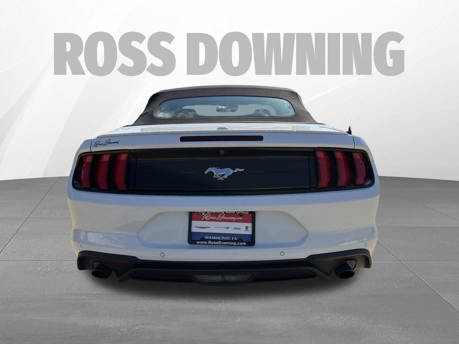 Used 2022 Ford Mustang Premium RWD image 5