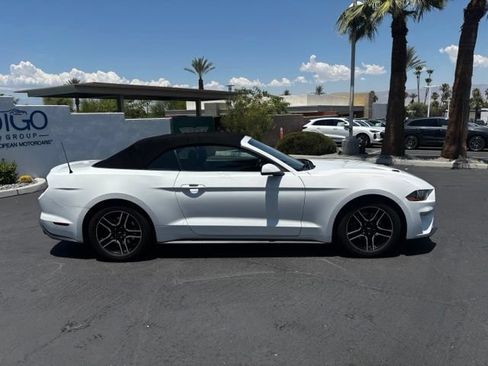 Used 2019 Ford Mustang Premium RWD image 4