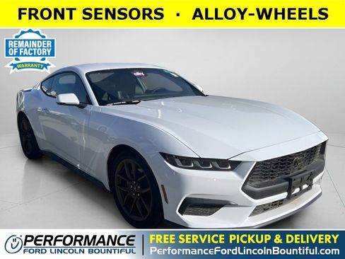 Used 2024 Ford Mustang Premium image 1