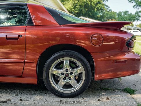 Used 2002 Pontiac Firebird Trans Am RWD image 5