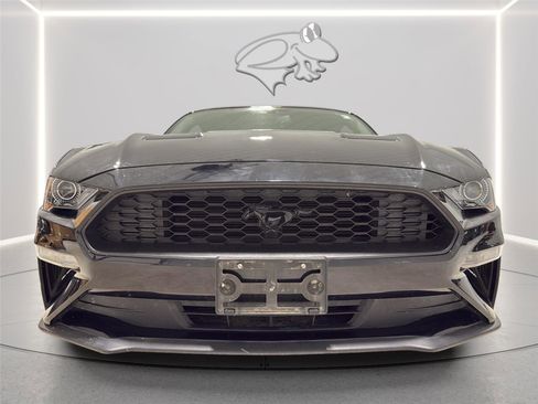 Used 2018 Ford Mustang Coupe w/ Equipment Group 101A RWD image 10