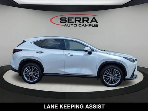 Used 2025 Lexus NX 350 AWD w/ Cold Area Package image 2