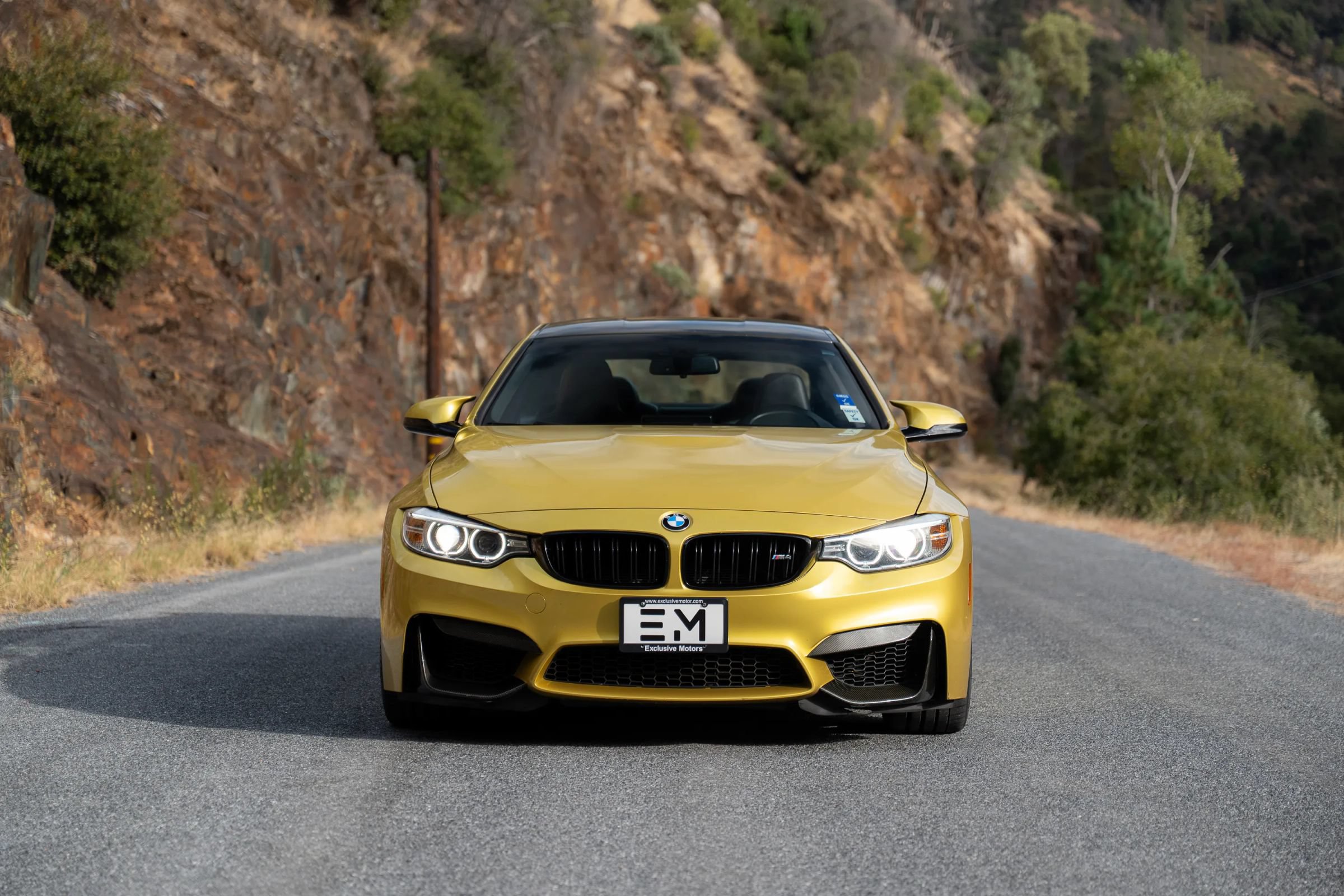 Used 2016 BMW M4 Coupe RWD image 18