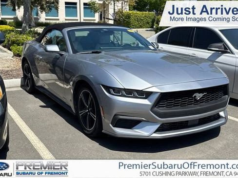Used 2024 Ford Mustang Premium RWD image 1