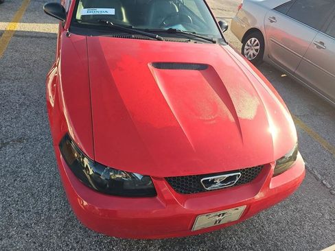 Used 2002 Ford Mustang Convertible RWD image 2