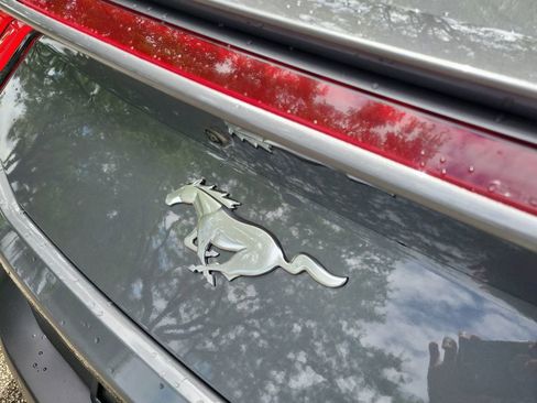 Used 2025 Ford Mustang Premium image 13