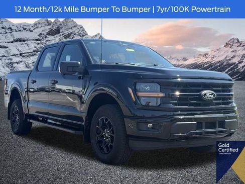 Used 2025 Ford F150 XLT w/ Equipment Group 302A MID AWD/4WD image 1