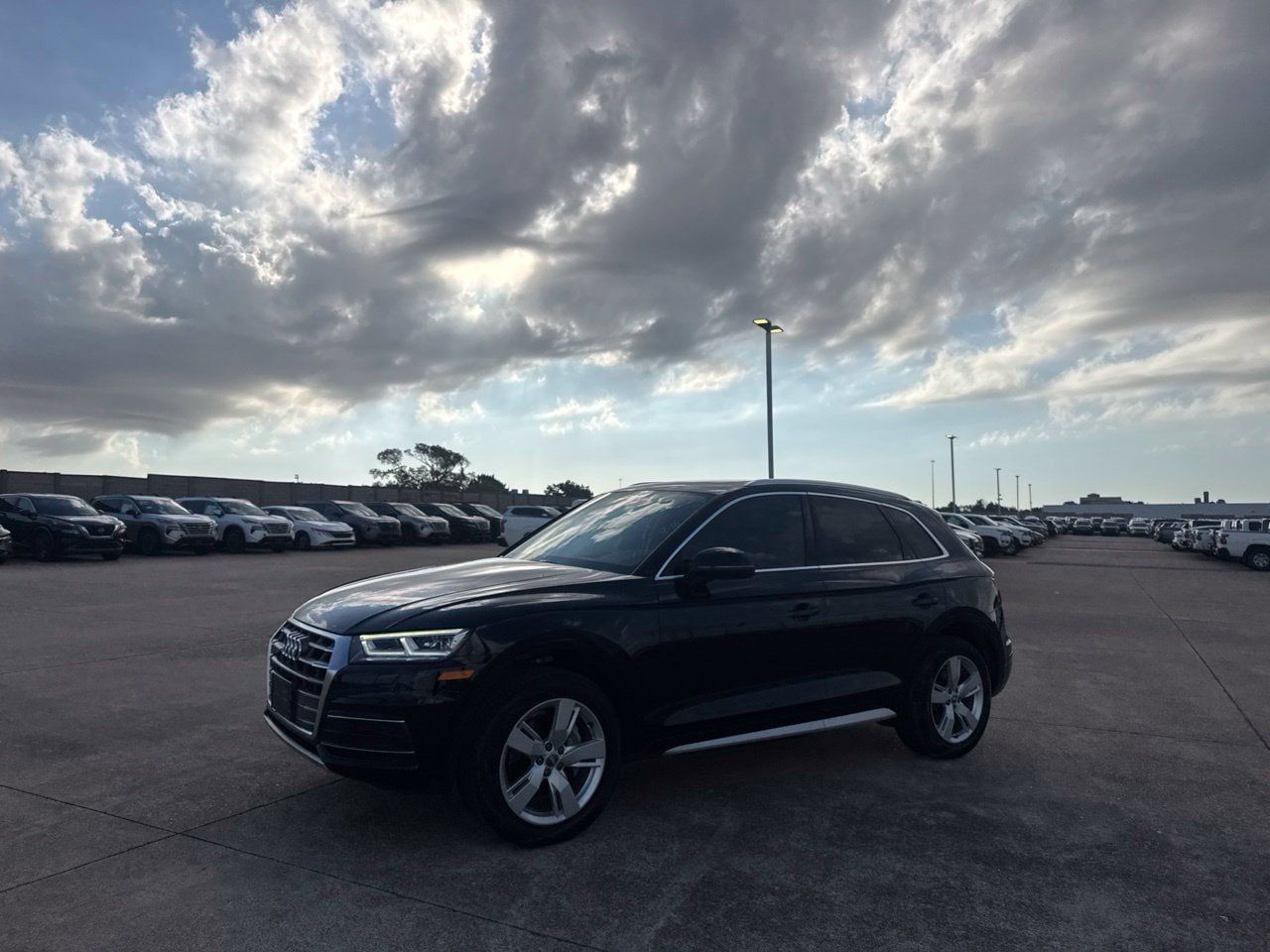 Used 2019 Audi Q5 2.0T Premium Plus AWD/4WD image 13