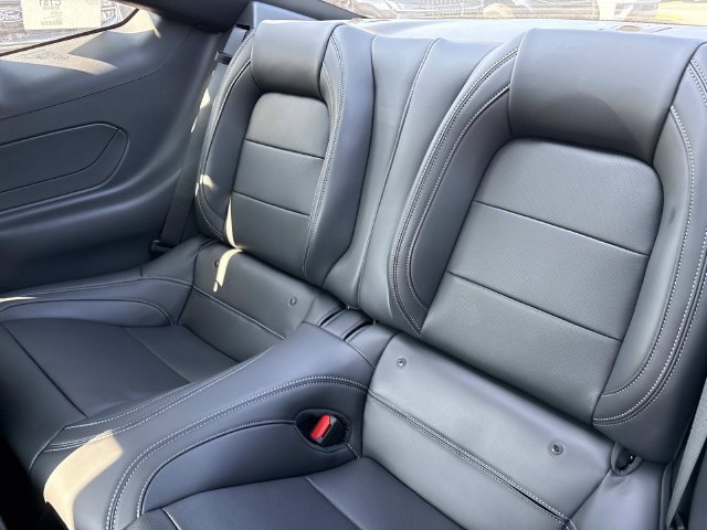 New 2026 Ford Mustang Premium w/ Mustang Nite Pony Package RWD image 17