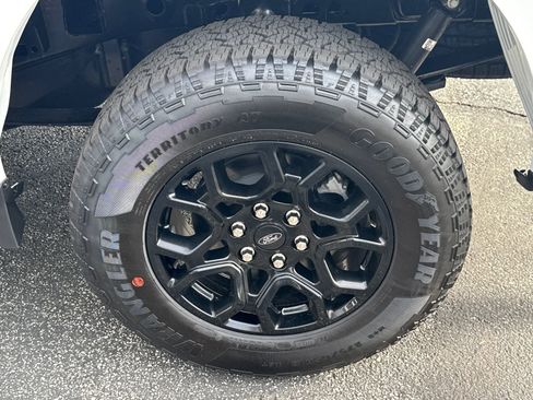 New 2025 Ford F150 XLT w/ Equipment Group 302A MID image 20