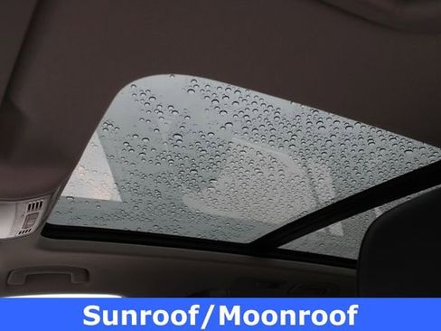 Used 2024 Volkswagen Tiguan SE w/ Panoramic Sunroof Package image 5