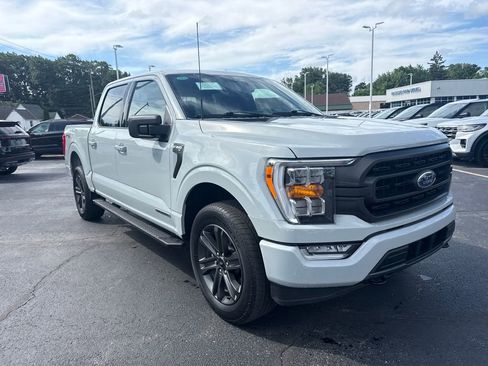 Used 2023 Ford F150 XLT w/ Equipment Group 302A High AWD/4WD image 4
